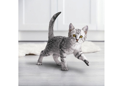 PURINA ONE KITTEN Сухой корм Пурина УАН для котят с курицей 750 г
