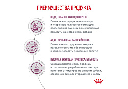 Royal Canin Renal RF14 Ветеринарный сухой корм Роял Канин Ренал для собак Заболевание почек (хроническая почечная недостаточность) 2 кг