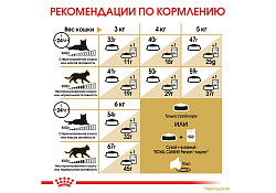 Royal Canin Breed cat Persian Сухой корм Роял Канин для Взрослых кошек Персидской породы старше 1 года 10 кг