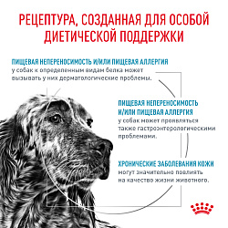 Royal Canin HYPOALLERGENIC (ГИПОАЛЛЕРДЖЕНИК) для взрослых собак, применяемый при пищевой аллергии или пищевой непереносимости. Ветеринарная диета. 14 кг.