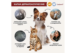 CitoDerm Капли Цитодерм Дерматологические для кошек и собак весом до 10 кг 1 х 4 шт