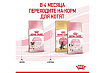 Royal Canin Mother & Babycat Сухой корм Роял Канин Бэйбикэт для Котят в возрасте от 1 до 4 месяцев 4 кг