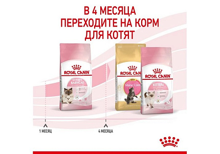 Royal Canin Mother & Babycat Сухой корм Роял Канин Бэйбикэт для Котят в возрасте от 1 до 4 месяцев 4 кг