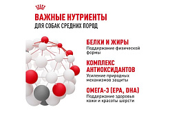 Royal Canin Medium Adult Сухой корм Роял Канин Медиум Эдалт для Взрослых собак Средних пород в возрасте от 1 года до 7 лет 15 кг Royal Canin Medium Adult Сухой корм Роял Канин Медиум Эдалт для Взрослых собак Средних пород в возрасте от 1 года до 7 лет 15 кг