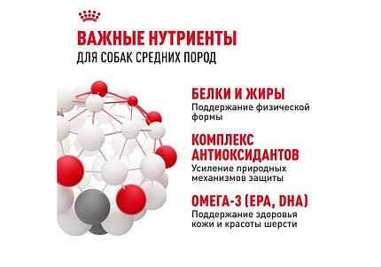 Royal Canin Medium Adult Сухой корм Роял Канин Медиум Эдалт для Взрослых собак Средних пород в возрасте от 1 года до 7 лет 3 кг