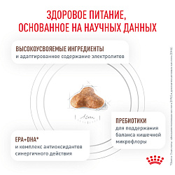 Royal Canin Gastrointestinal Fibre Response Корм сухой полнорационный для взрослых кошек при запорах. Ветеринарная диета. 2 кг.