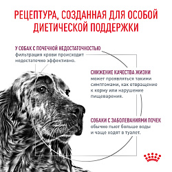 Royal Canin Renal Корм сухой полнорационный диетический для взрослых собак для поддержания функции почек. Ветеринарная диет, 2 кг.
