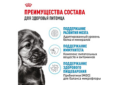 Royal Canin Mini Puppy Сухой корм Роял Канин Мини Паппи для Щенков Мелких пород в возрасте от 2 до 10 месяцев 2 кг