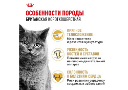 Royal Canin Breed cat British Shorthair Сухой корм Роял Канин для Взрослых кошек породы Британская короткошерстная 2 кг