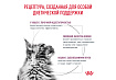 Royal Canin Renal RF23 Ветеринарный сухой корм Роял Канин Ренал для кошек Заболевание почек (хроническая почечная недостаточность) 350 г