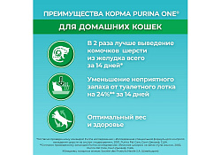 PURINA ONE HOUSECAT Сухой корм Пурина УАН для взрослых кошек при домашнем образе жизни с индейкой 750 г