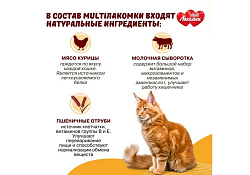 Multi Лакомки Витаминное лакомство Мульти Лакомки для Стерилизованных кошек и Кастрированных котов Стерил 70 таб