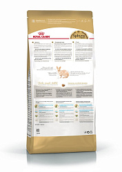 Сухой корм Royal Canin Sphynx Adult для взрослых кошек породы Сфинкс, 400 гр