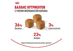 Royal Canin Breed cat Kitten Maine Coon Сухой корм Роял Канин для Котят породы Мэйн Кун в возрасте до 15 месяцев 4 кг