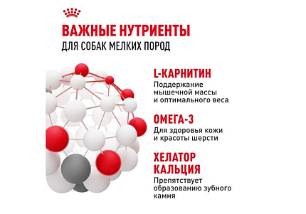 Royal Canin Mini Adult 8+ Сухой корм Роял Канин Мини для Пожилых собак Мелких пород старше 8 лет 4 кг