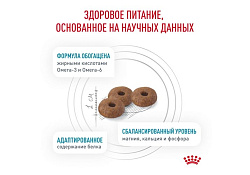 Royal Canin Skin & Coat Feline Ветеринарный сухой корм Роял Канин для Стерилизованных кошек с повышенной Чувствительностью кожи 350 г