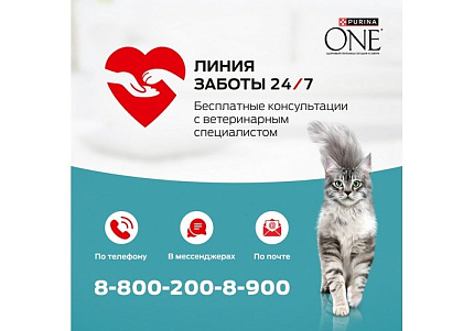 PURINA ONE STERILISED Влажный корм Паучи Пурина УАН для взрослых стерилизованных кошек с курицей (цена за упаковку) 75г х 26шт