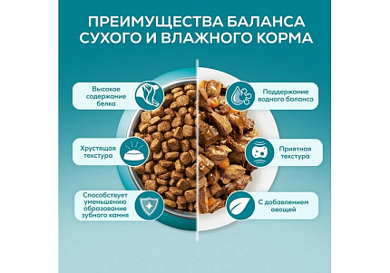 PURINA ONE HOUSECAT Влажный корм Паучи Пурина УАН для взрослых кошек при домашнем образе жизни с курицей (цена за упаковку) 75г х 26шт