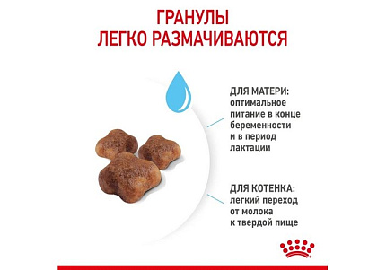 Royal Canin Mother & Babycat Сухой корм Роял Канин Бэйбикэт для Котят в возрасте от 1 до 4 месяцев 4 кг