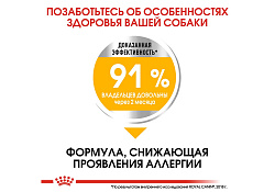 Royal Canin Mini Dermacomfort Сухой корм Роял Канин Мини Дермакомфорт для собак Мелких пород с Кожным раздражением и зудом 3 кг Royal Canin Mini Dermacomfort Сухой корм Роял Канин Мини Дермакомфорт для собак Мелких пород с Кожным раздражением и зудом 3 кг