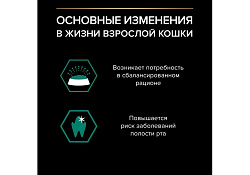 PRO PLAN MAINTENANCE Влажный корм Паучи ПРО ПЛАН (Поддержание естественной защиты организма) для взрослых кошек кусочки с говядиной в соусе (цена за упаковку) 85г х 26шт