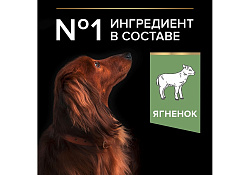 PRO PLAN OPTI DIGEST Сухой корм ПРО ПЛАН для взрослых собак мелких пород при чувствительном пищеварении с ягненком 7 кг PRO PLAN OPTI DIGEST Сухой корм ПРО ПЛАН для взрослых собак мелких пород при чувствительном пищеварении с ягненком 7 кг