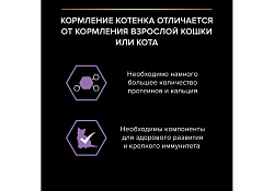 PRO PLAN KITTEN Влажный корм Паучи ПРО ПЛАН для котят с курицей в желе (цена за упаковку) 85г х 26шт