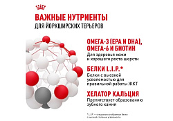 Royal Canin Breed dog Yorkshire Terrier Adult Сухой корм Роял Канин для взрослых собак породы Йоркширский Терьер старше 10 месяцев 500 г Royal Canin Breed dog Yorkshire Terrier Adult Сухой корм Роял Канин для взрослых собак породы Йоркширский Терьер старше 10 месяцев 500 г