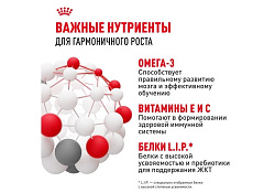 Royal Canin Mini Puppy Сухой корм Роял Канин Мини Паппи для Щенков Мелких пород в возрасте от 2 до 10 месяцев 2 кг