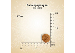 Craftia Harmona Kitten Chicken & Fish Сухой корм Крафтия для Котят Курица рыба 320 г