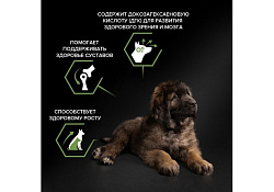 PRO PLAN OPTI START Сухой корм ПРО ПЛАН для щенков крупных пород с мощным телосложением с курицей 12 кг