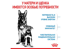 Royal Canin Maxi Starter Сухой корм Роял Канин Макси Стартер для Щенков Крупных пород до 2 месяцев 4 кг