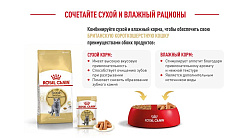 Royal Canin British Shorthair Adult Корм сухой сбалансированный для взрослых британских короткошерстных кошек, 2 кг