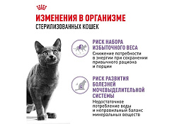 Royal Canin Sterilised Влажный корм (Консервы-Паучи) Роял Канин Стерилайзд для взрослых кастрированных котов и Стерилизованных кошек в Соусе (цена за упаковку) 85г х 28шт