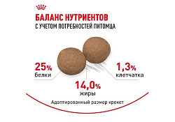 Royal Canin Medium Adult Сухой корм Роял Канин Медиум Эдалт для Взрослых собак Средних пород в возрасте от 1 года до 7 лет 15 кг Royal Canin Medium Adult Сухой корм Роял Канин Медиум Эдалт для Взрослых собак Средних пород в возрасте от 1 года до 7 лет 15 кг