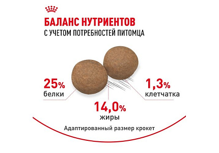 Royal Canin Medium Adult Сухой корм Роял Канин Медиум Эдалт для Взрослых собак Средних пород в возрасте от 1 года до 7 лет 3 кг