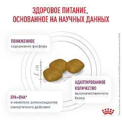 Royal Canin Renal Корм сухой полнорационный диетический для взрослых собак для поддержания функции почек. Ветеринарная диет, 2 кг.