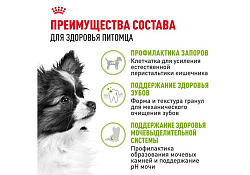 Royal Canin X-Small Adult Сухой корм Роял Канин Икс-Смолл Эдалт для Взрослых собак мелких пород 500 г Royal Canin X-Small Adult Сухой корм Роял Канин Икс-Смолл Эдалт для Взрослых собак мелких пород 500 г