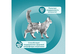 PURINA ONE SENSITIVE Влажный корм Паучи Пурина УАН для взрослых кошек при чувствительном пищеварении с курицей (цена за упаковку) 75г х 26шт