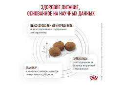 Royal Canin Gastro Intestinal GI25 Ветеринарный сухой корм Роял Канин Гастро Интестинал для взрослых собак при нарушении Пищеварения 15 кг