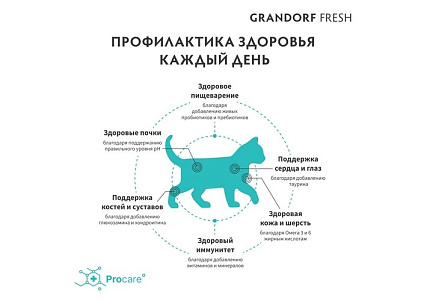 Grandorf Fresh Kitten Lamb & Sweet Potato Сухой Беззерновой корм Грандорф для Котят Ягненок батат 400 г