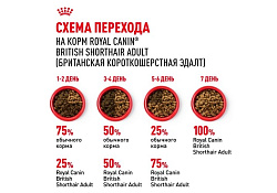 Royal Canin Breed cat British Shorthair Сухой корм Роял Канин для Взрослых кошек породы Британская короткошерстная 4 кг