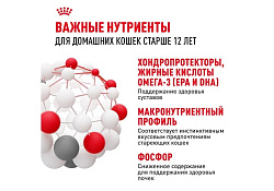 Royal Canin Ageing 12+ Sause Влажный корм (Консервы-Паучи) Роял Канин Эйжинг для Пожилых кошек старше 12 лет в Соусе (цена за упаковку) 85г х 28шт
