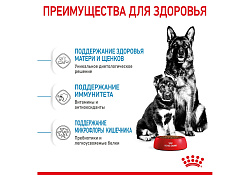 Royal Canin Maxi Starter Сухой корм Роял Канин Макси Стартер для Щенков Крупных пород до 2 месяцев 4 кг