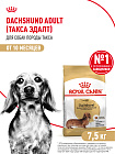 Royal Canin Dachshund Adult Корм сухой для взрослых собак породы Такса от 10 месяцев, 7,5 кг