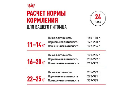 Royal Canin Medium Adult Сухой корм Роял Канин Медиум Эдалт для Взрослых собак Средних пород в возрасте от 1 года до 7 лет 3 кг