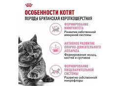 Royal Canin Breed cat Kitten British Shorthair Сухой корм Роял Канин для Котят породы Британская короткошерстная в возрасте от 4 до 12 месяцев 2 кг