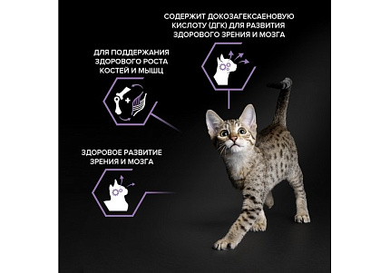 PRO PLAN ORIGINAL Сухой корм ПРО ПЛАН для котят с курицей 10 кг