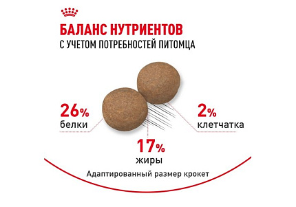 Royal Canin Maxi Adult Сухой корм Роял Канин Макси Эдалт для Взрослых собак Крупных пород в возрасте от 15 месяцев до 5 лет 15 кг