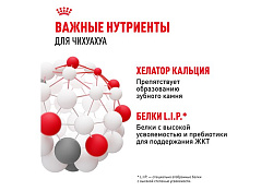 Royal Canin Breed dog Chihuahua Adult Сухой корм Роял Канин для взрослых собак породы Чихуахуа старше 8 месяцев 500 г Royal Canin Breed dog Chihuahua Adult Сухой корм Роял Канин для взрослых собак породы Чихуахуа старше 8 месяцев 500 г